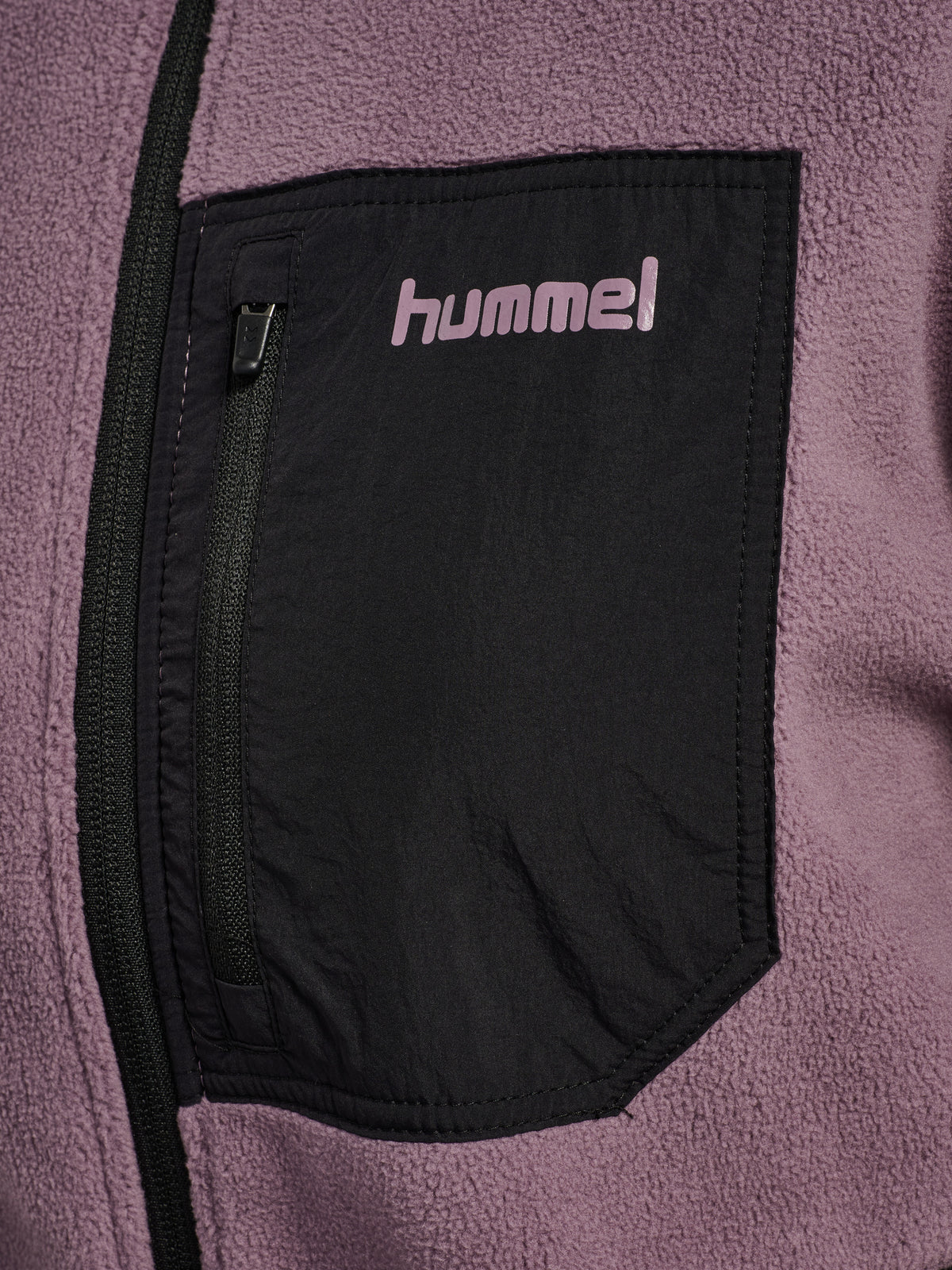 4856-BLACK PLUM