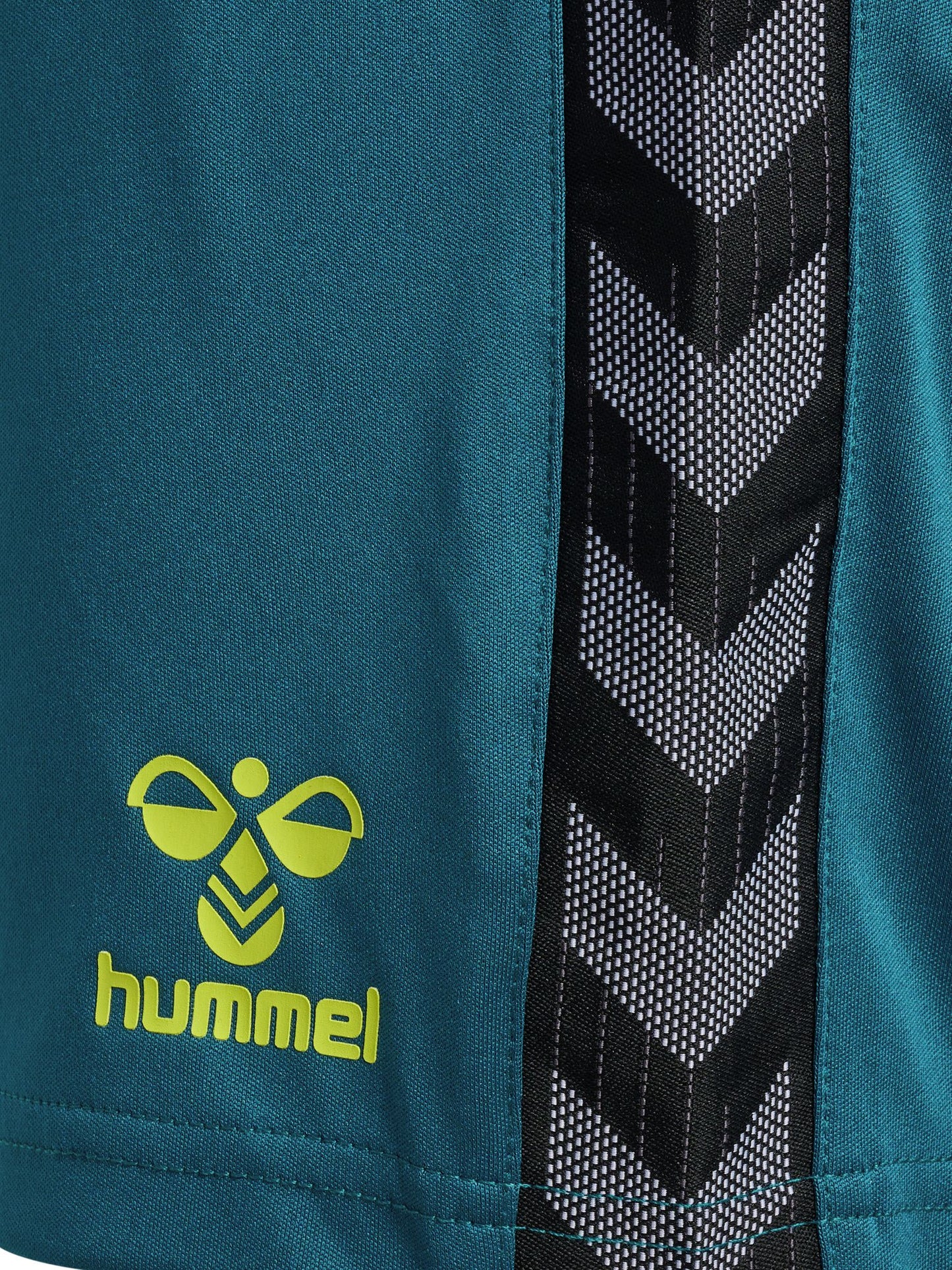 hmlAUTHENTIC PL SHORTS WOMAN