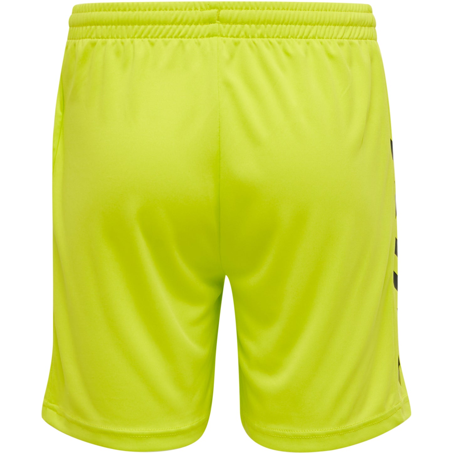 6102-EVENING PRIMROSE