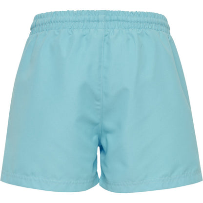 7966-BACHELOR BUTTON