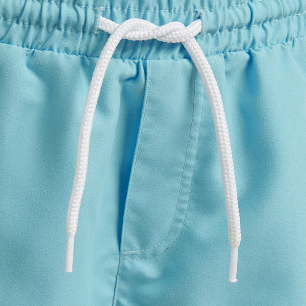 7966-BACHELOR BUTTON