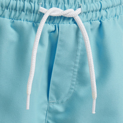 7966-BACHELOR BUTTON