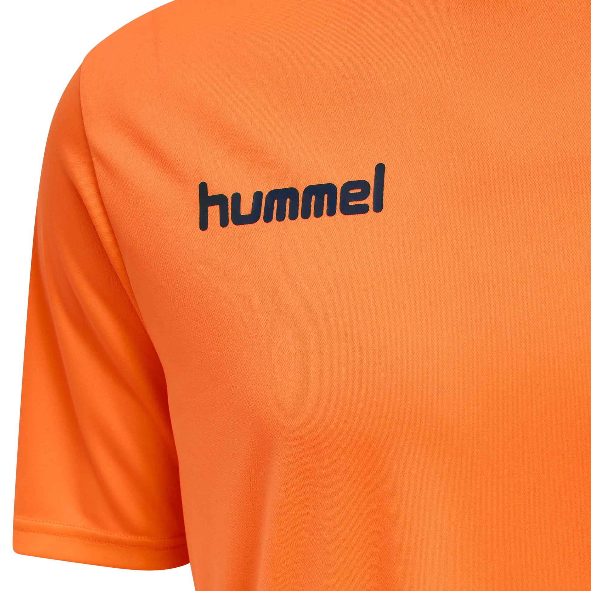 3408-NASTURTION/OMBRE BLUE