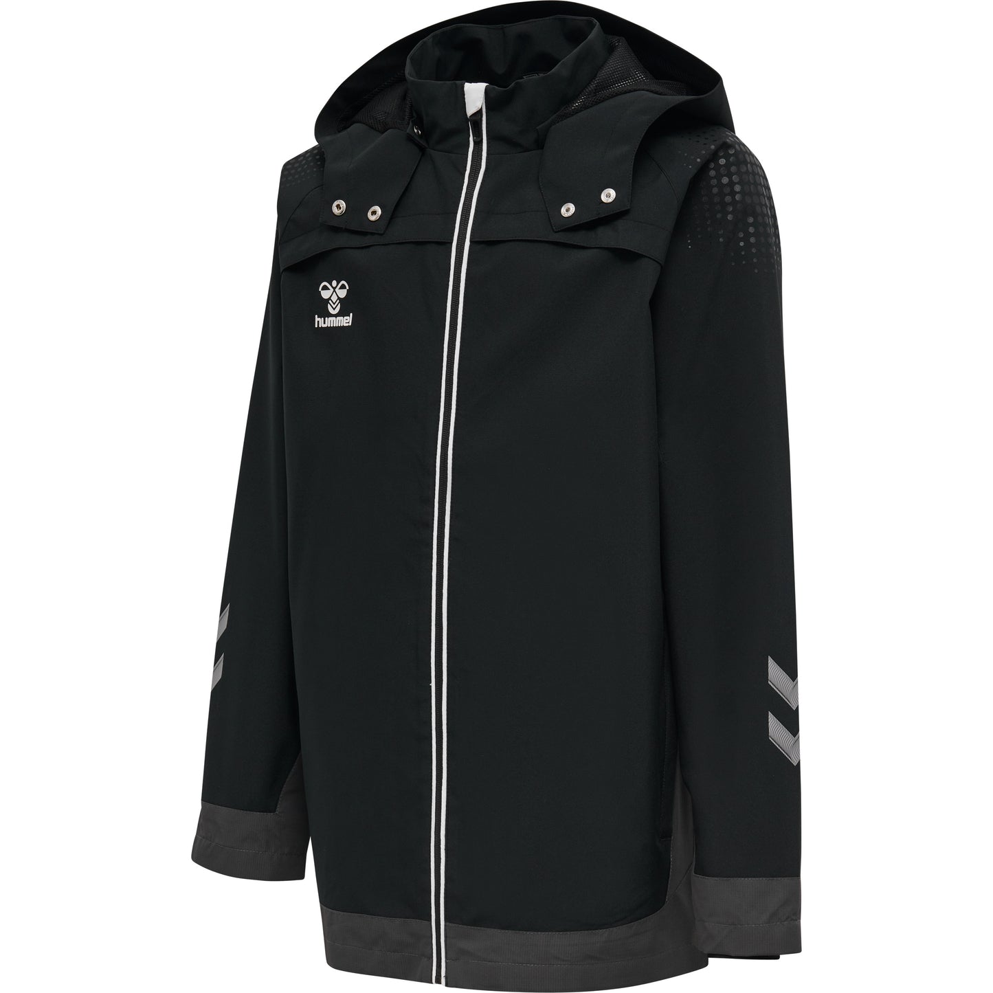 2001-BLACK