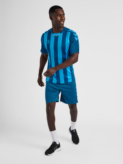 hmlCORE XK STRIPED JERSEY S/S