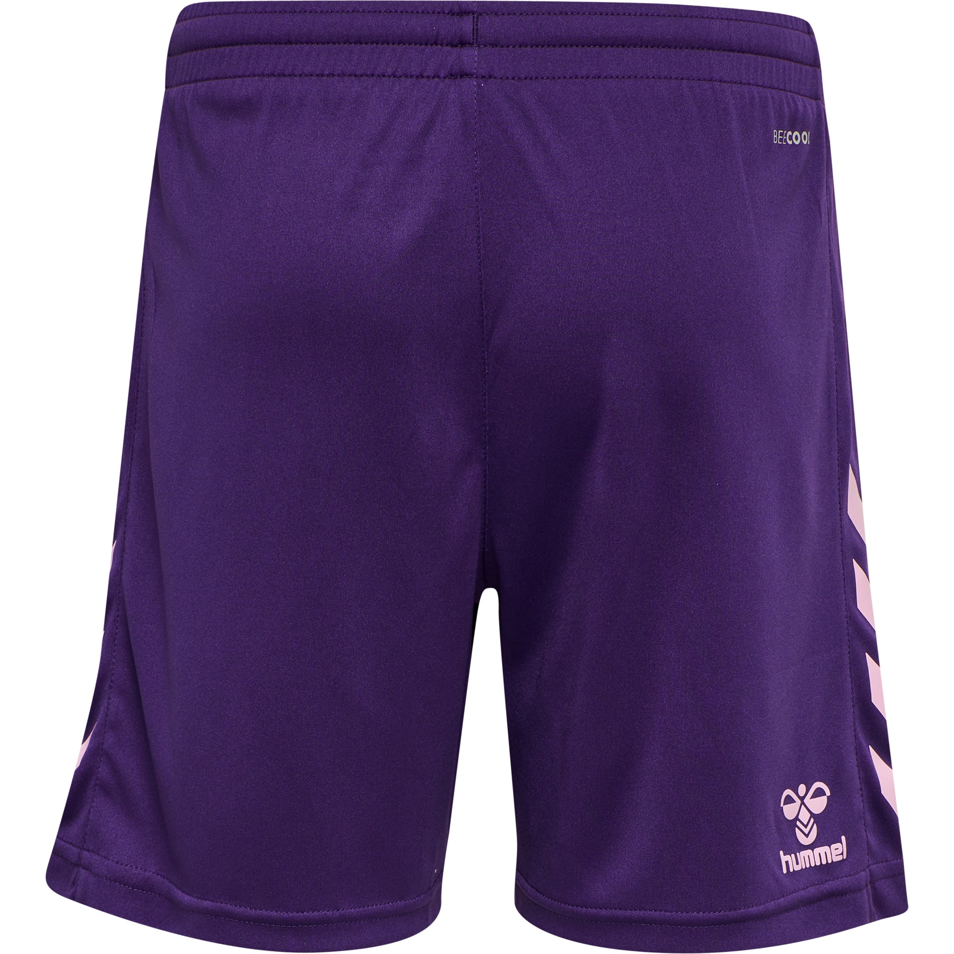 3443-ACAI