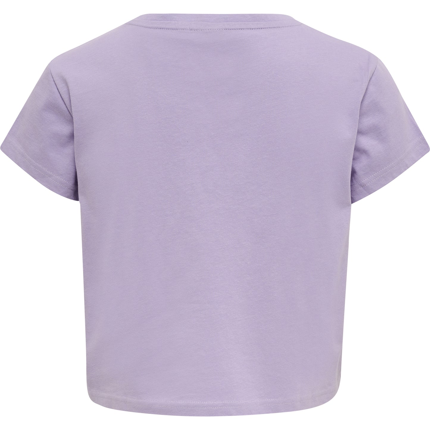 3306-HEIRLOOM LILAC