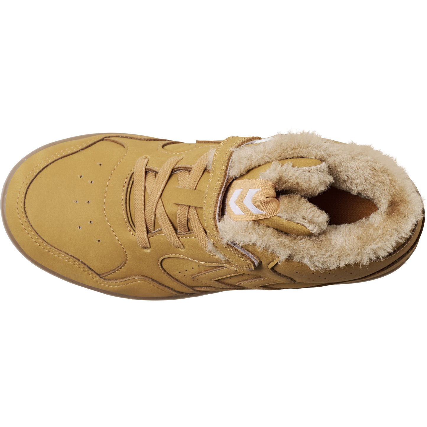 CAMDEN WINTER HIGH JR