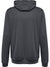 hmlAUTHENTIC PL HOODIE