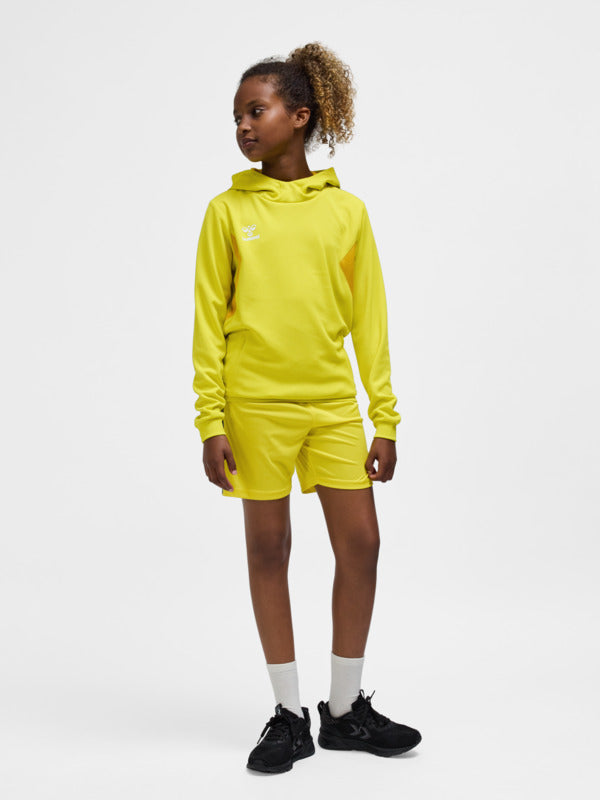 hmlAUTHENTIC PL HOODIE KIDS