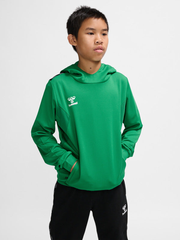 hmlAUTHENTIC PL HOODIE KIDS