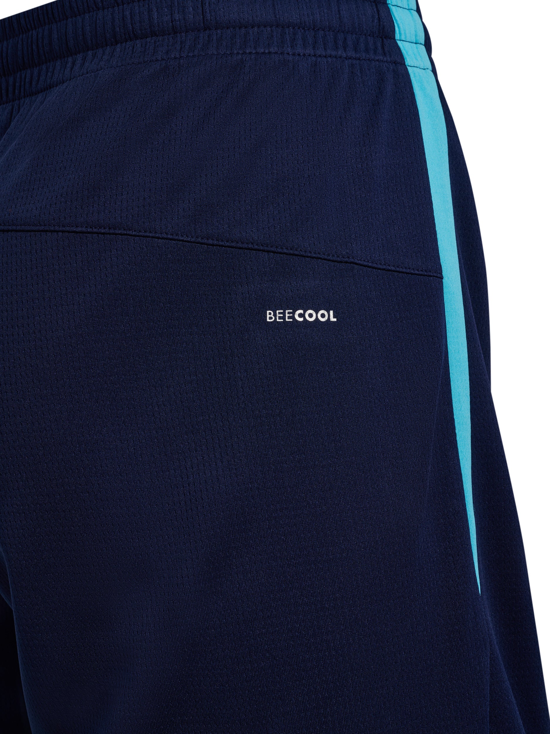 7553-MARINE/BLUE FISH