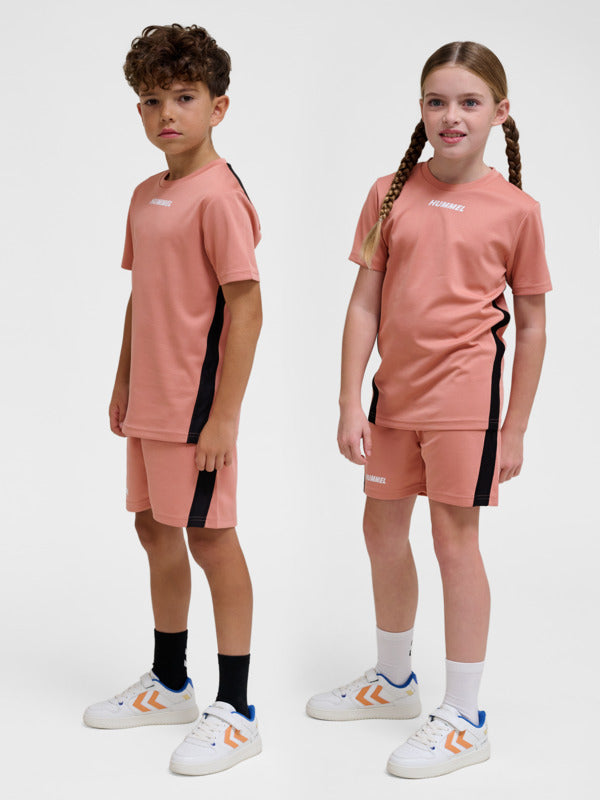 3798-ROSE DAWN/ROSE DAWN