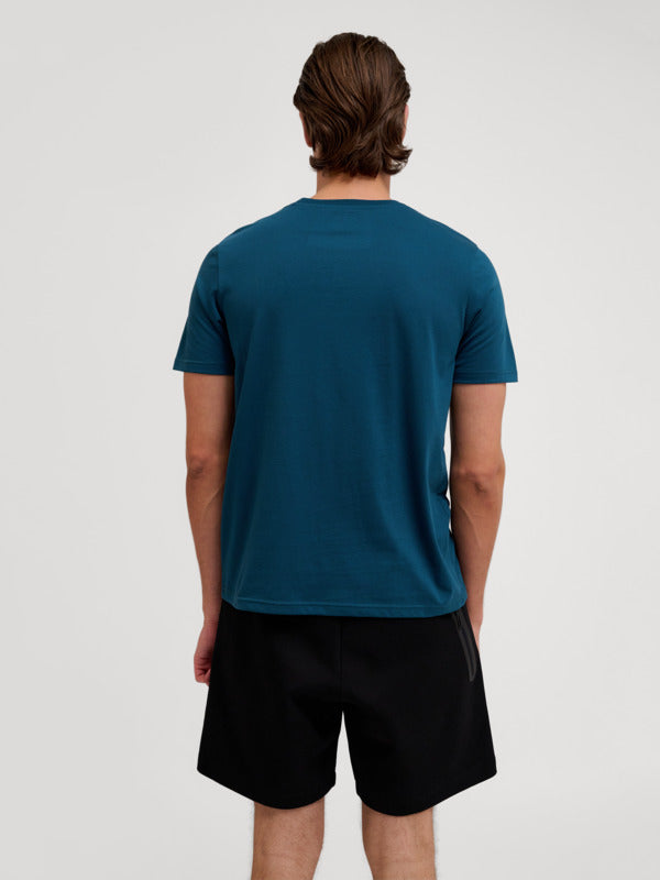 2942-REFLECTING POND