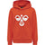 hmlCUATRO HOODIE