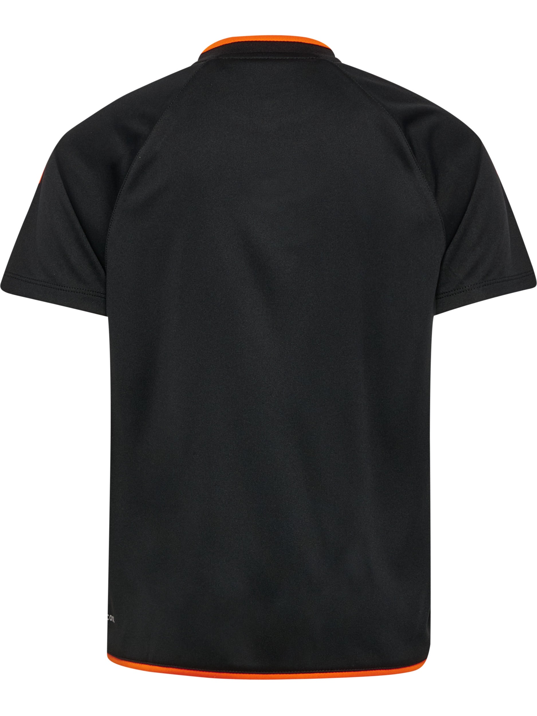 2461-BLACK/ORANGE TIGER