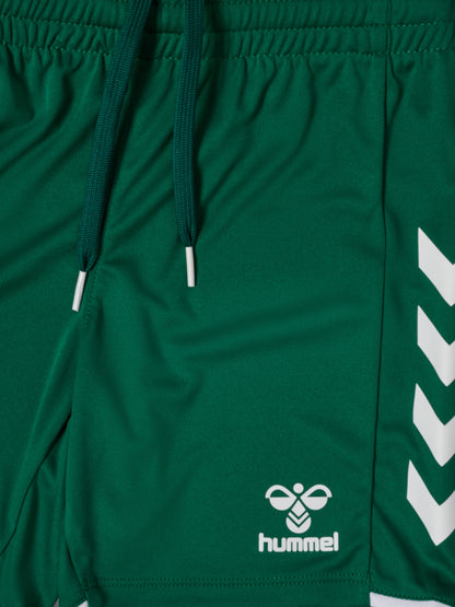 6131-EVERGREEN/WHITE