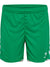hmlCORE 2.0 SHORTS WOMAN