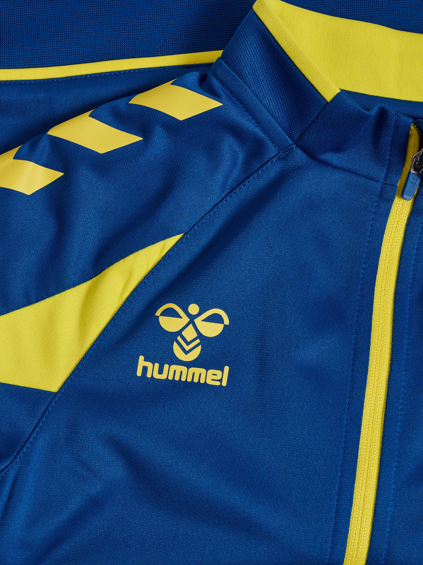 8606-TRUE BLUE/BLAZING YELLOW