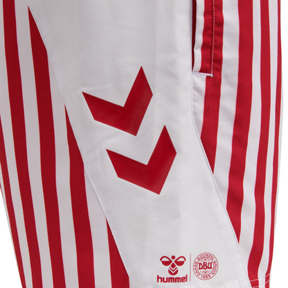 DBU FAN 2020 SWIM SHORTS
