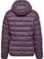 4856-BLACK PLUM