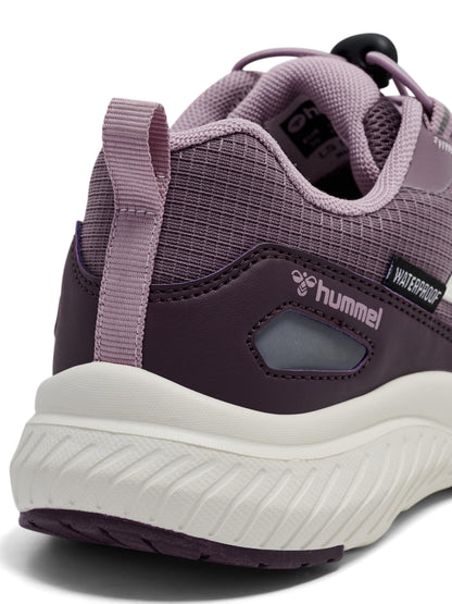 CREEK LOW TEX JR – CATAWBA GRAPE/ELDERBERRY