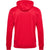 hmlPROMO POLY HOODIE
