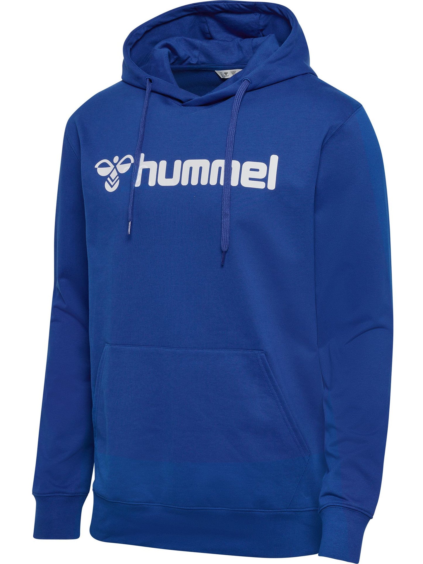 hmlGO 2.0 LOGO HOODIE