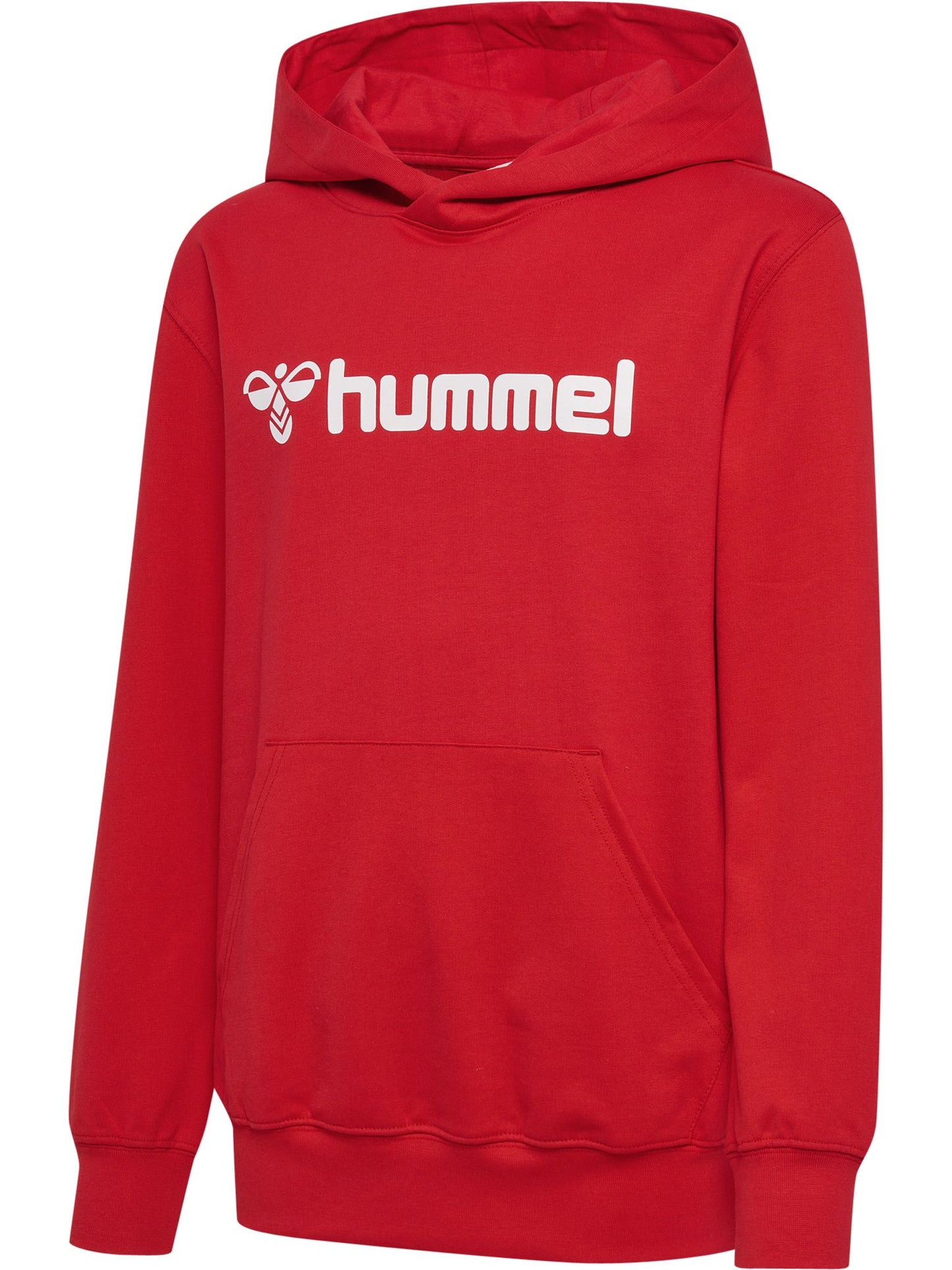 hmlGO 2.0 LOGO HOODIE KIDS