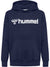 hmlGO 2.0 LOGO HOODIE KIDS