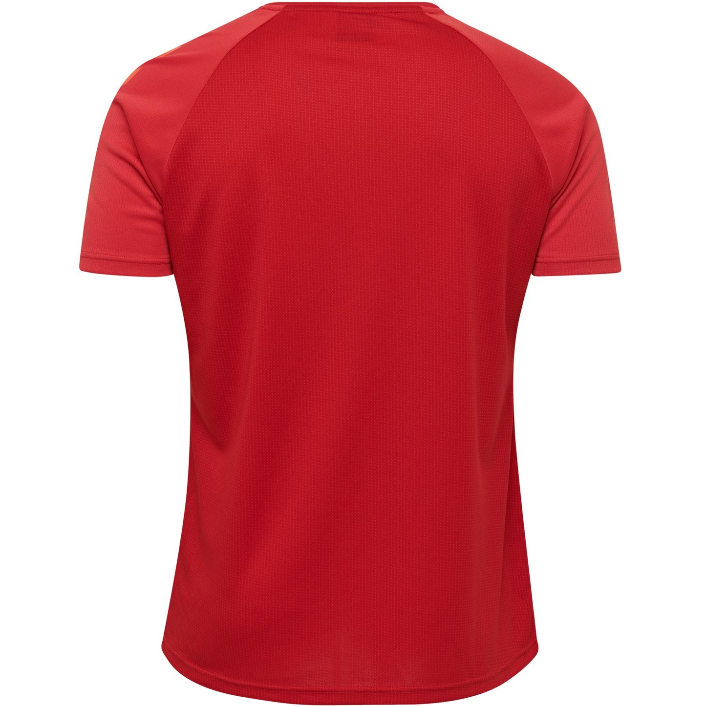 hmlAUTHENTIC PRO JERSEY S/S