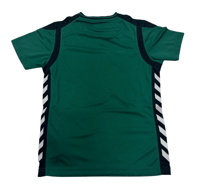 HUMMEL SIRIUS SS JERSEY