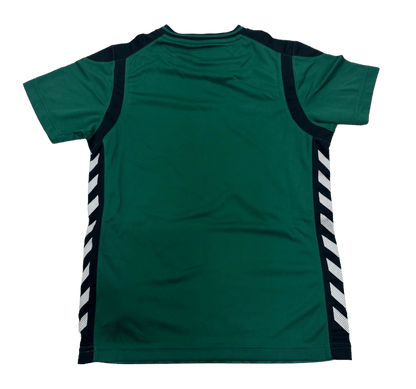 HUMMEL SIRIUS SS JERSEY