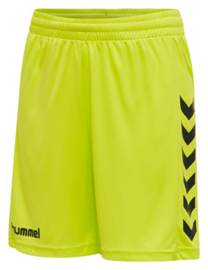 6102-EVENING PRIMROSE