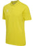 5269-BLAZING YELLOW