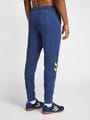 hmlLEAD FOOTBALL PANT