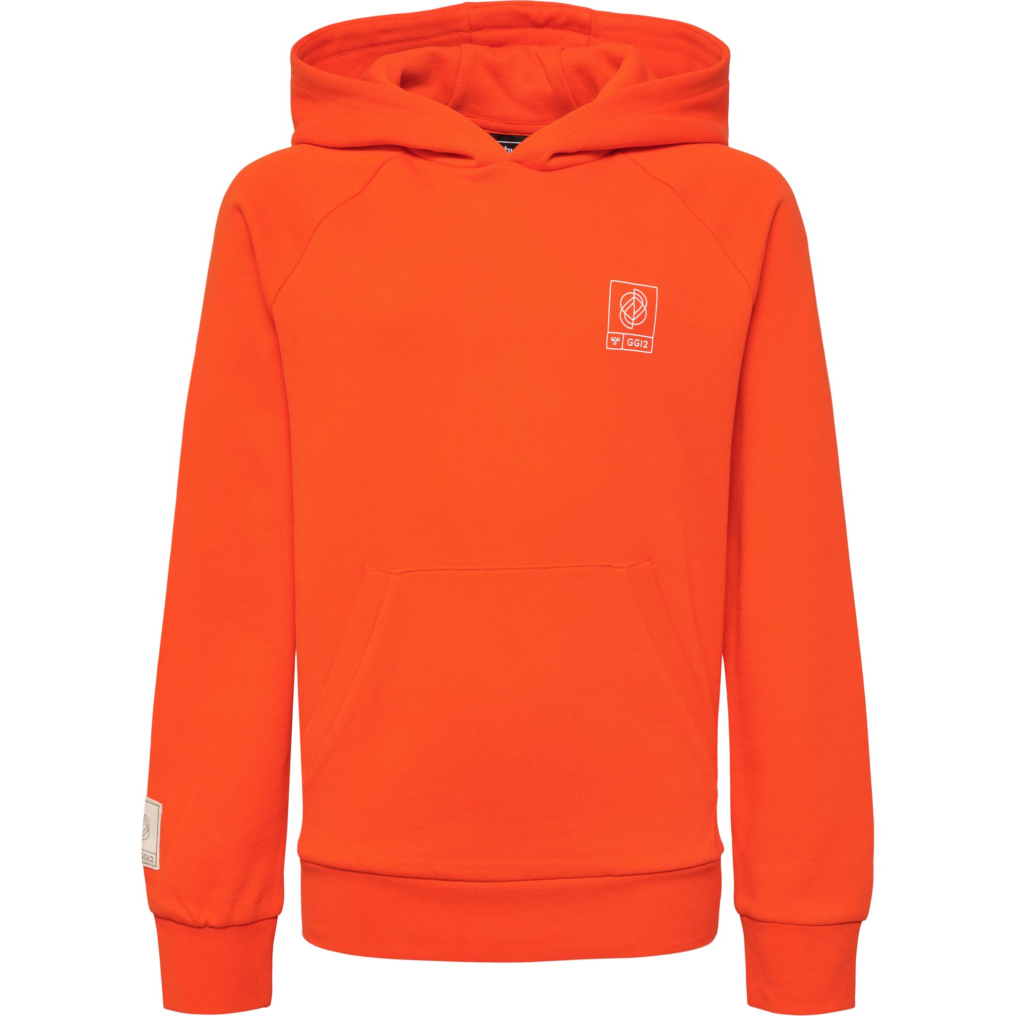 hmlGG12 SWEAT HOODIE KIDS