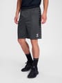 hmlAUTHENTIC PL SHORTS