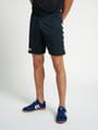 CORE POLY SHORTS