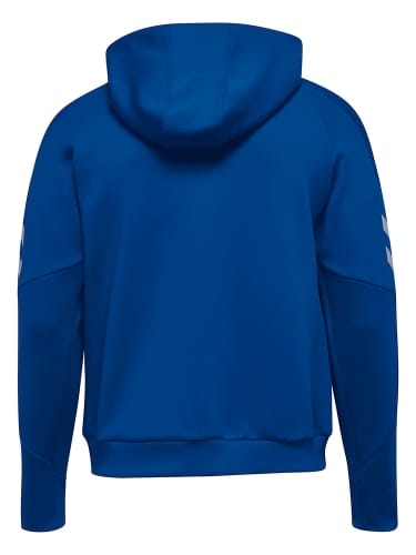 TECH MOVE POLY HOODIE