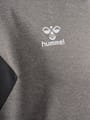 hmlAUTHENTIC PL HOODIE